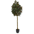 75" Capensia Ficus Artificial Tree by Nearly Natural