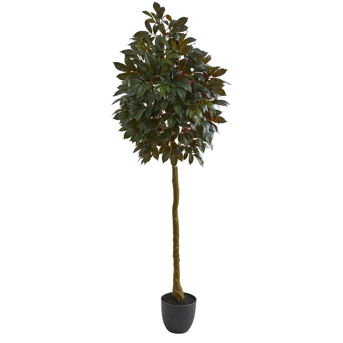 75" Capensia Ficus Artificial Tree by Nearly Natural