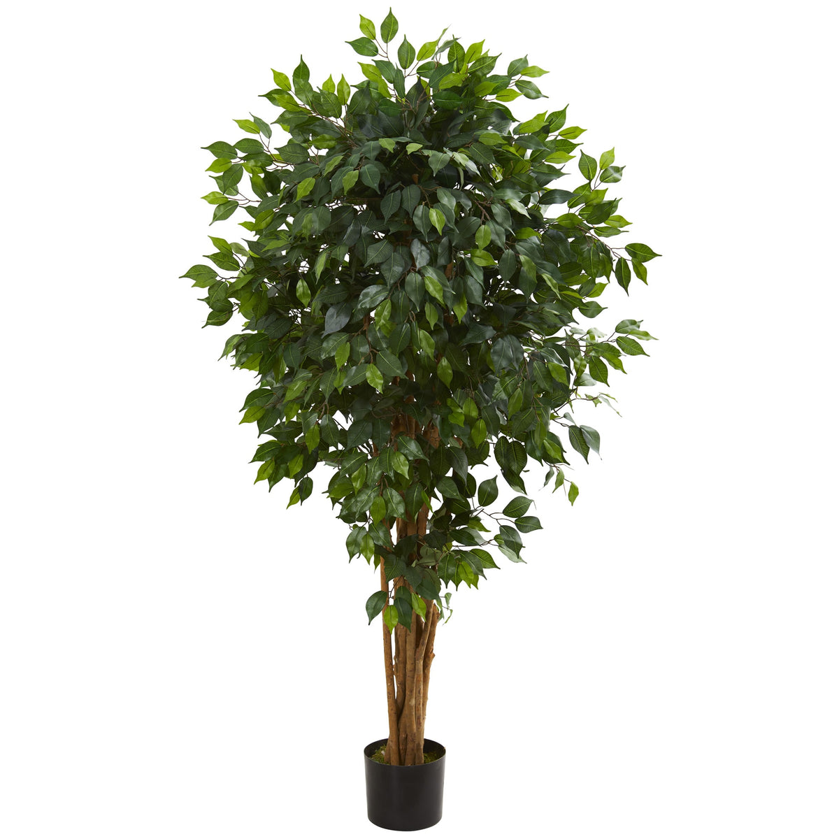 5.5' Ficus Artificial Tree by Nearly Natural