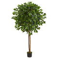 6.5' Ficus Artificial Tree by Nearly Natural