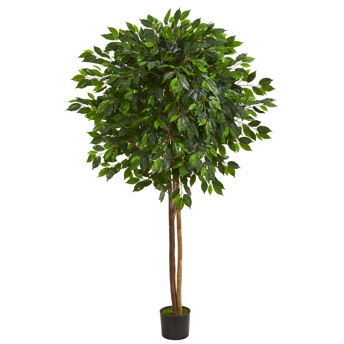 6.5' Ficus Artificial Tree by Nearly Natural