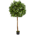5.5' Ficus Artificial Tree by Nearly Natural