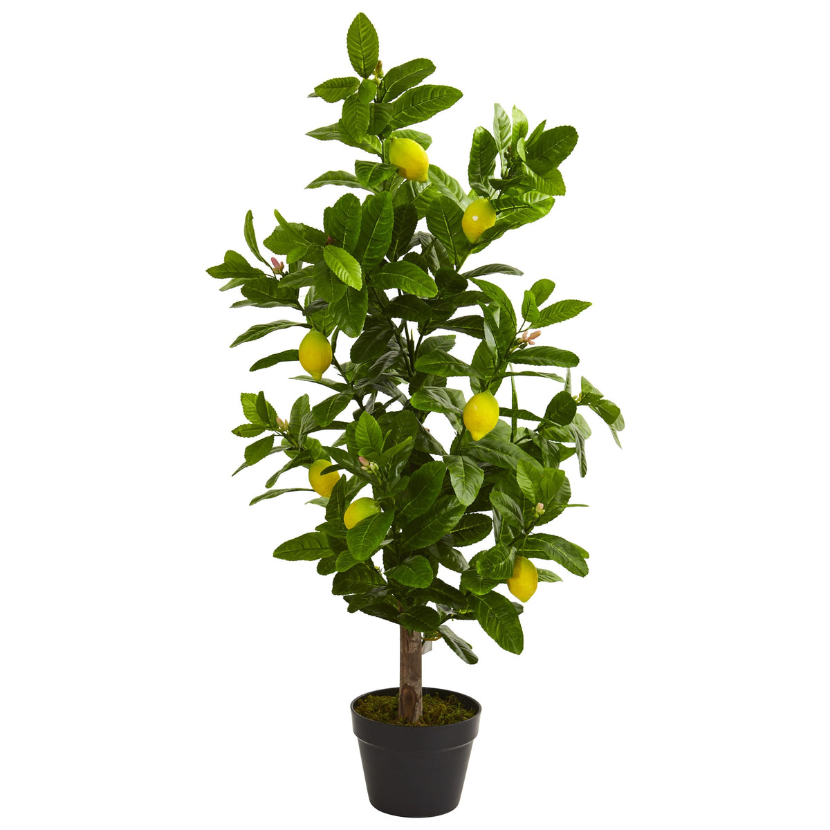 3' Lemon Artificial Tree by Nearly Natural