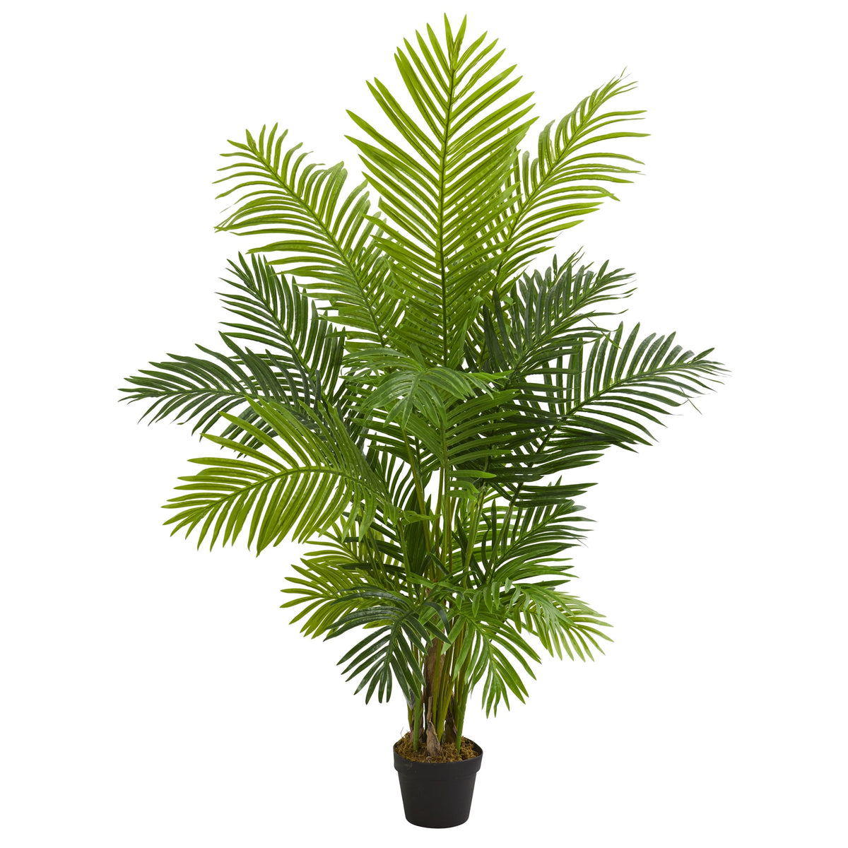 5' Hawaii Palm Artificial Tree by Nearly Natural