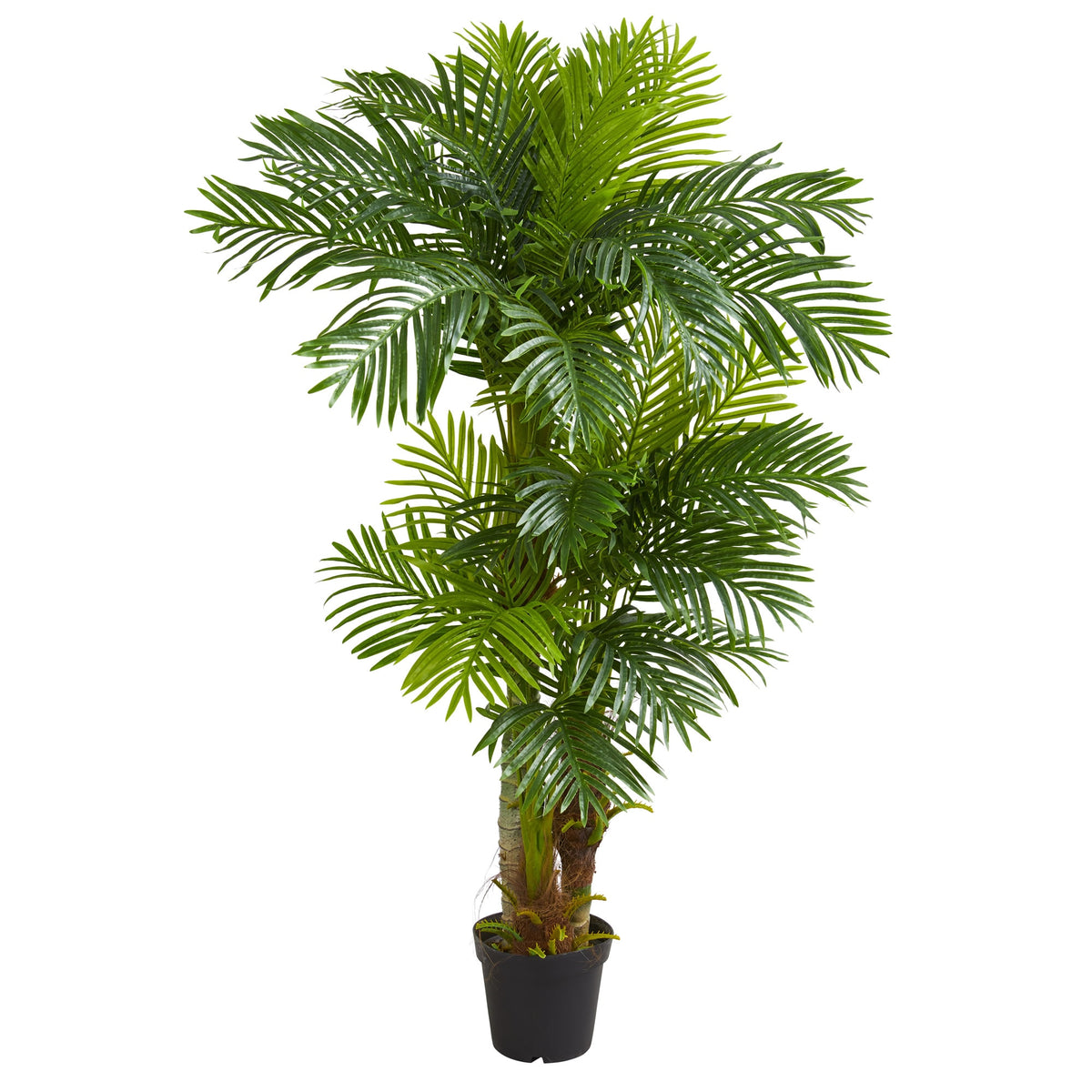6' Hawaii Artificial Palm by Nearly Natural