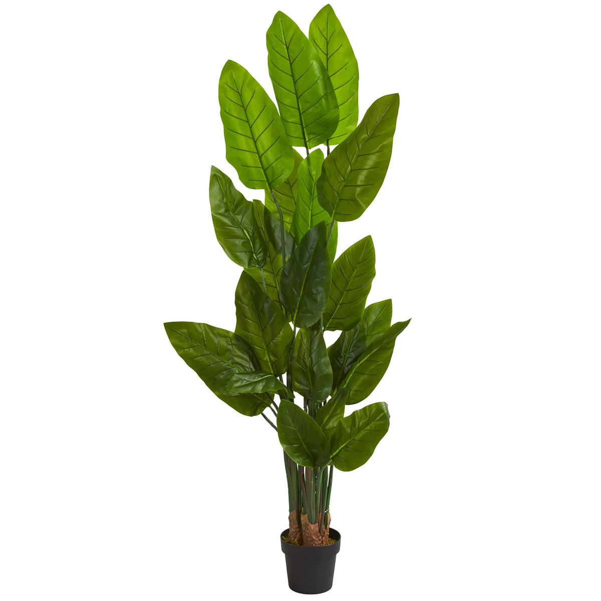 6' Canna Artificial Tree by Nearly Natural