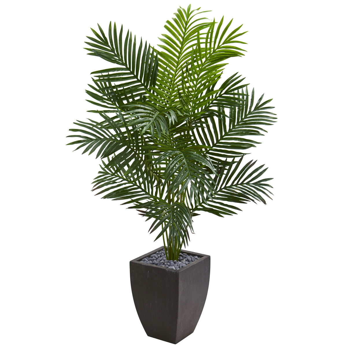 5.5' Paradise Artificial Palm Tree in Black Planter by Nearly Natural