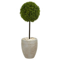 3' Boxwood Topiary Tree in Planter UV Res(Indoor/Outdoor) by Nearly Natural