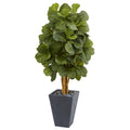 5.5' Fiddle Leaf Artificial Tree in Slate Planter by Nearly Natural