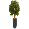 5.5' Fiddle Leaf Artificial Tree in Gray Cylinder Planter by Nearly Natural