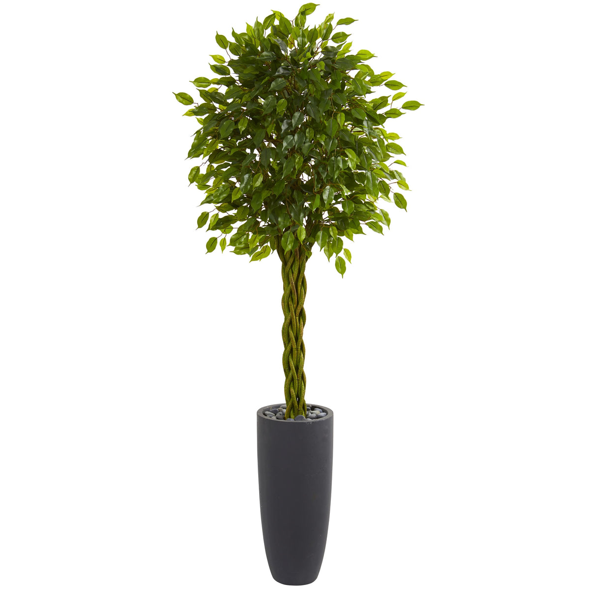 6.5' Braided Ficus Tree in Planter UV Res(Indoor/Outdoor) by Nearly Natural