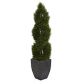 5' Pond Cypress Tree in Planter UV Res(Indoor/Outdoor) by Nearly Natural