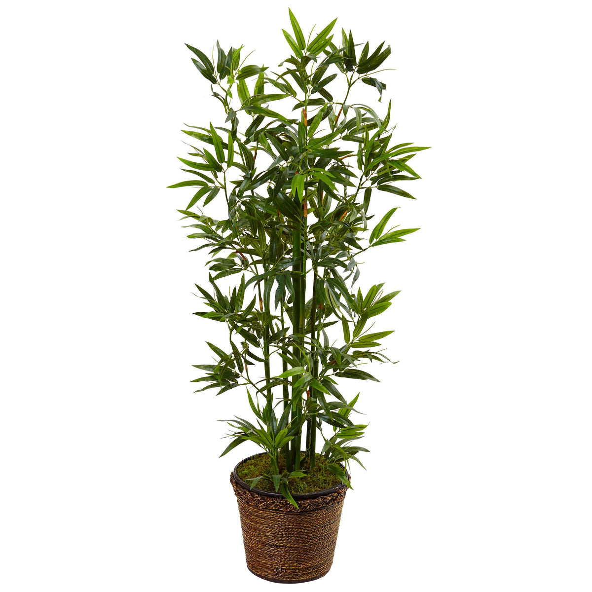 4' Bamboo Tree in Coiled Rope Planter by Nearly Natural