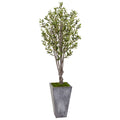 6' Olive Tree in Stone Planter by Nearly Natural