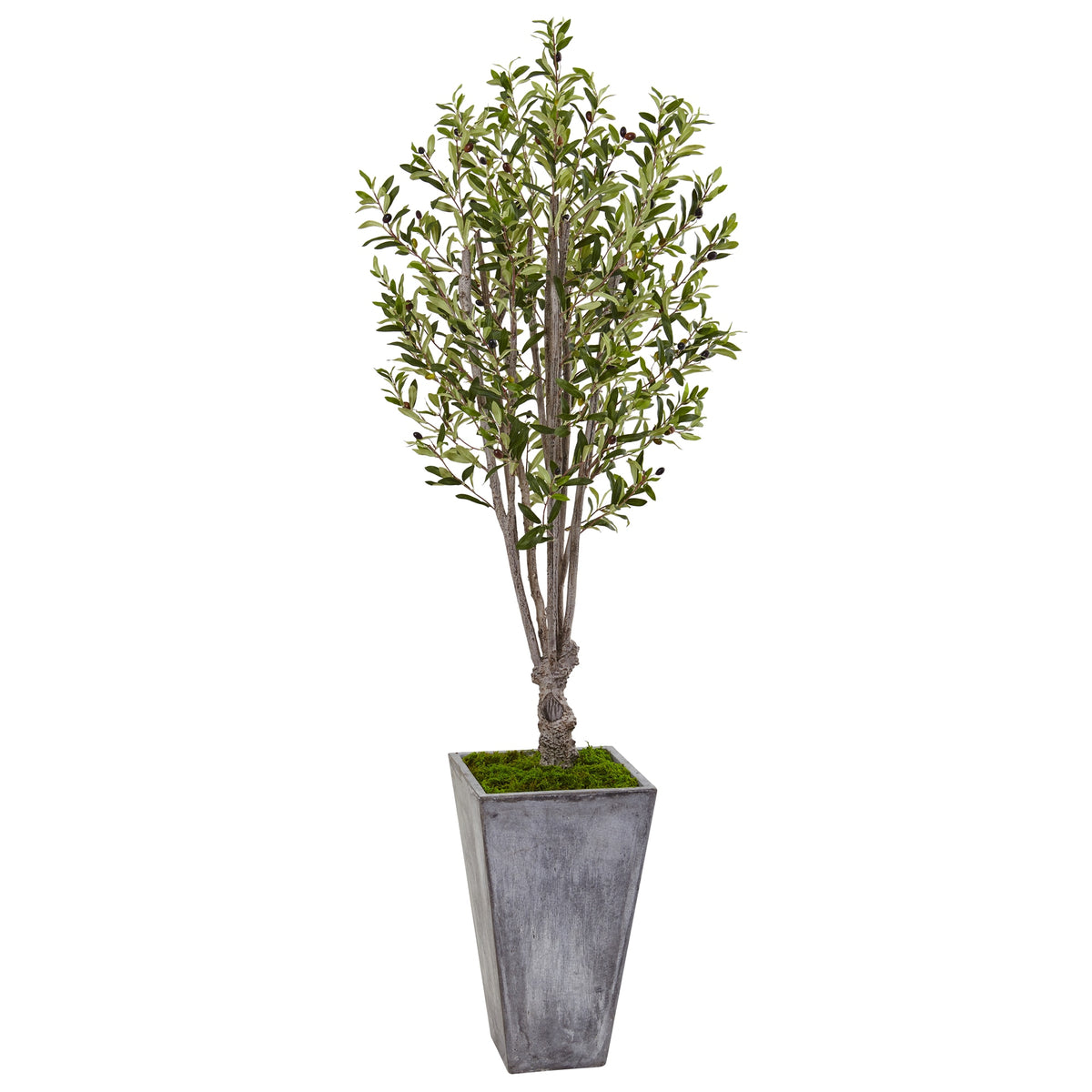 6' Olive Tree in Stone Planter by Nearly Natural