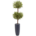 6' Olive Double Tree in Gray Cylinder Planter by Nearly Natural