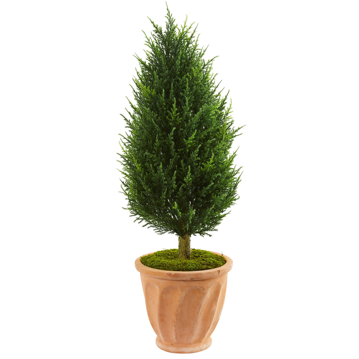 40" Cypress Tree Terracotta Planter UV Rst (Indoor/Outdoor) by Nearly Natural