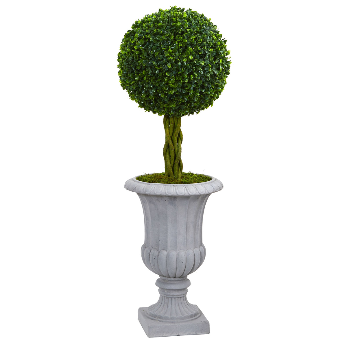 Braided Boxwood Tree in Urn UV Resistant (Indoor/Outdoor) by Nearly Natural