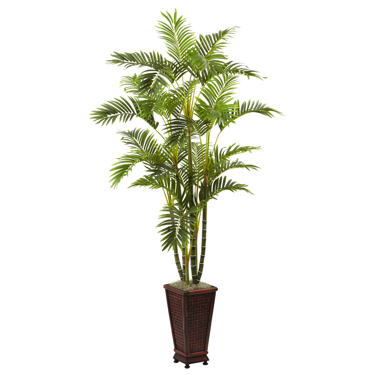 6.5' Areca w/Decorative Planter by Nearly Natural