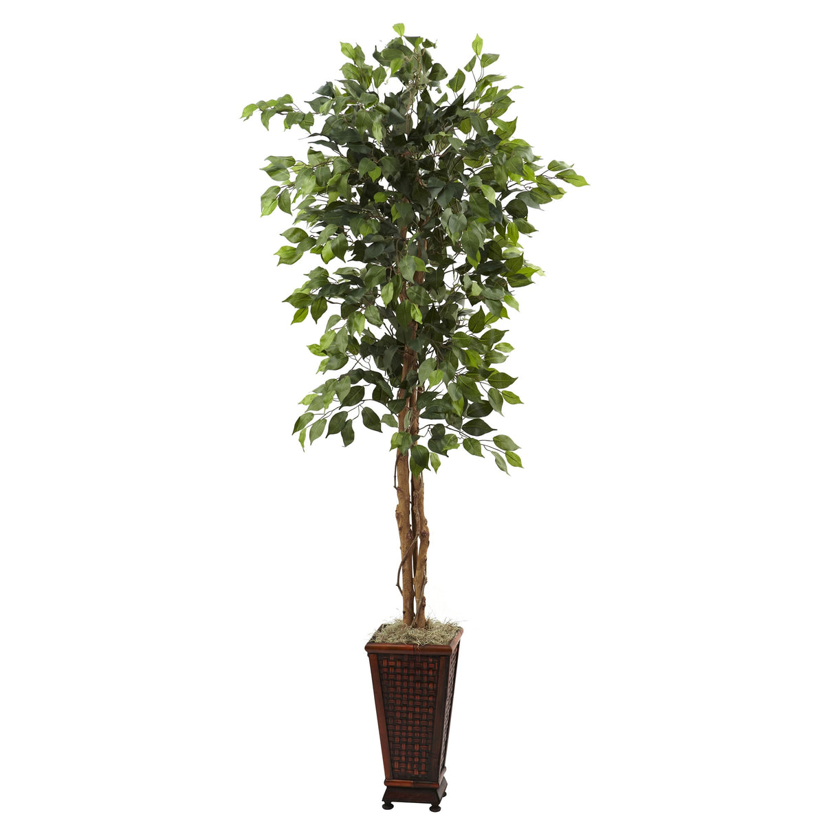 6.5' Ficus w/Decorative Planter by Nearly Natural