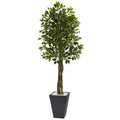 6.5' Ficus Tree with Slate Planter UV Resistant (Indoor Outd by Nearly Natural