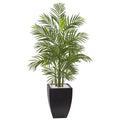 4.5' Areca Palm w/Black Planter UV Resist (Indoor/Outdoor) by Nearly Natural