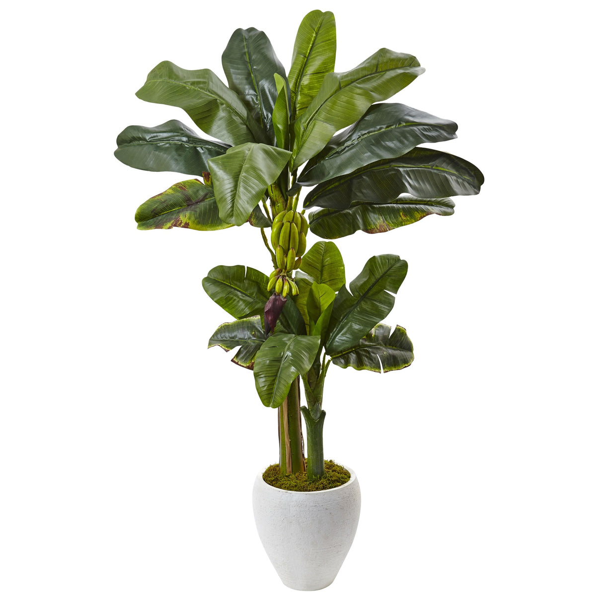 5' Double Stalk Banana Tree in White Planter by Nearly Natural