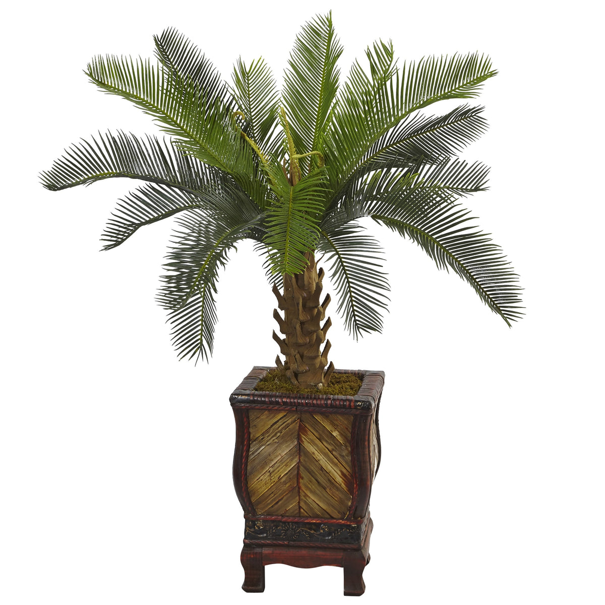 3' Cycas Tree in Wood Planter by Nearly Natural