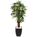5.5' Raphis Plam Tree in Black Planter by Nearly Natural