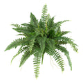 40inch Boston Fern (Set of 2) by Nearly Natural