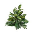 25" Mixed Greens Artificial Plant (Set of 2) by Nearly Natural