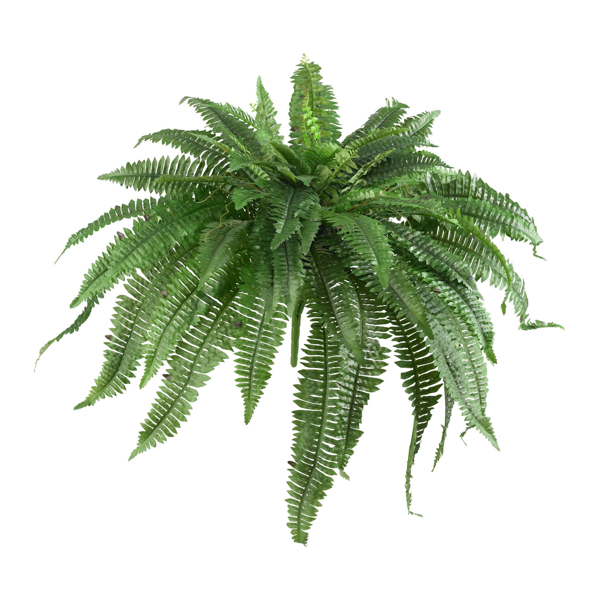 48” Boston Fern (Set of 2) by Nearly Natural