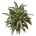 30" Aglonema Artificial Plant (Set of 3) by Nearly Natural