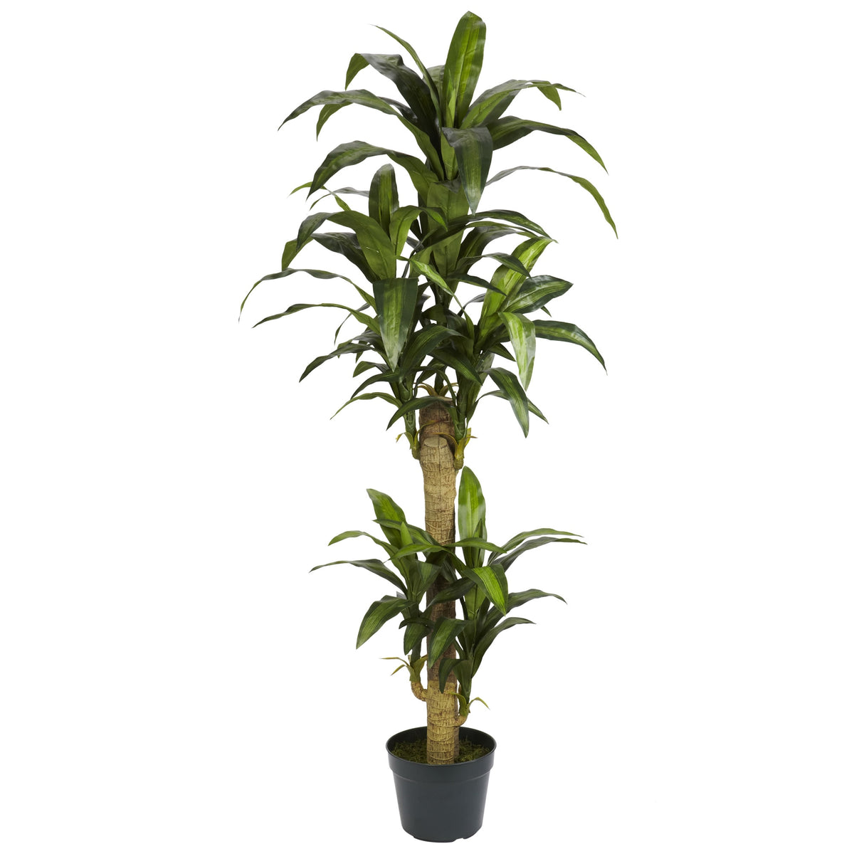5' Yucca Silk Plant by Nearly Natural in Green