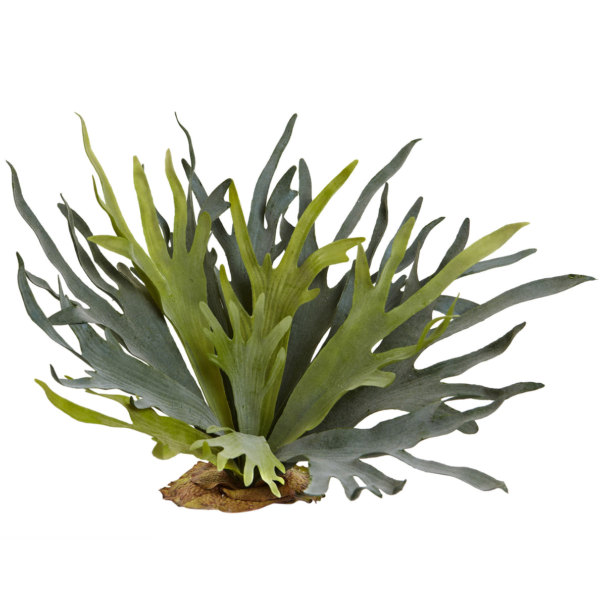 21" Staghorn Fern (Set of 2) by Nearly Natural