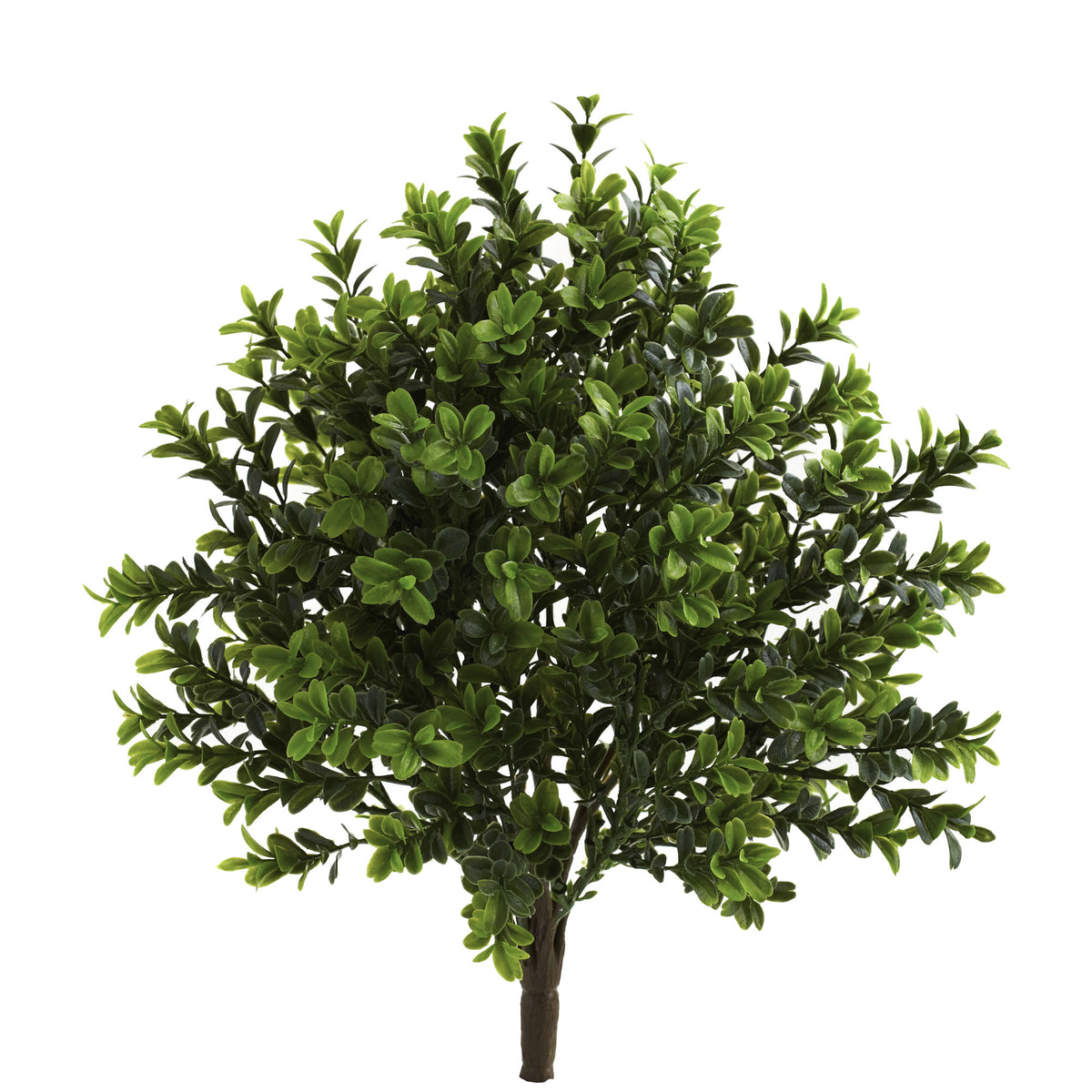 15" Sweet Grass Bush (Set of 6) (Indoor/Outdoor) by Nearly Natural