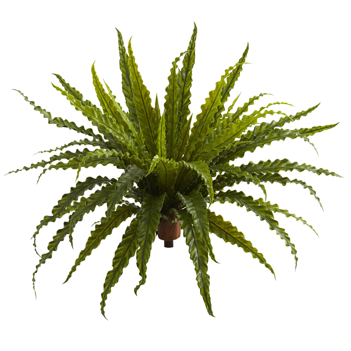 26" Asplenium Artificial Plant (Set of 2) by Nearly Natural