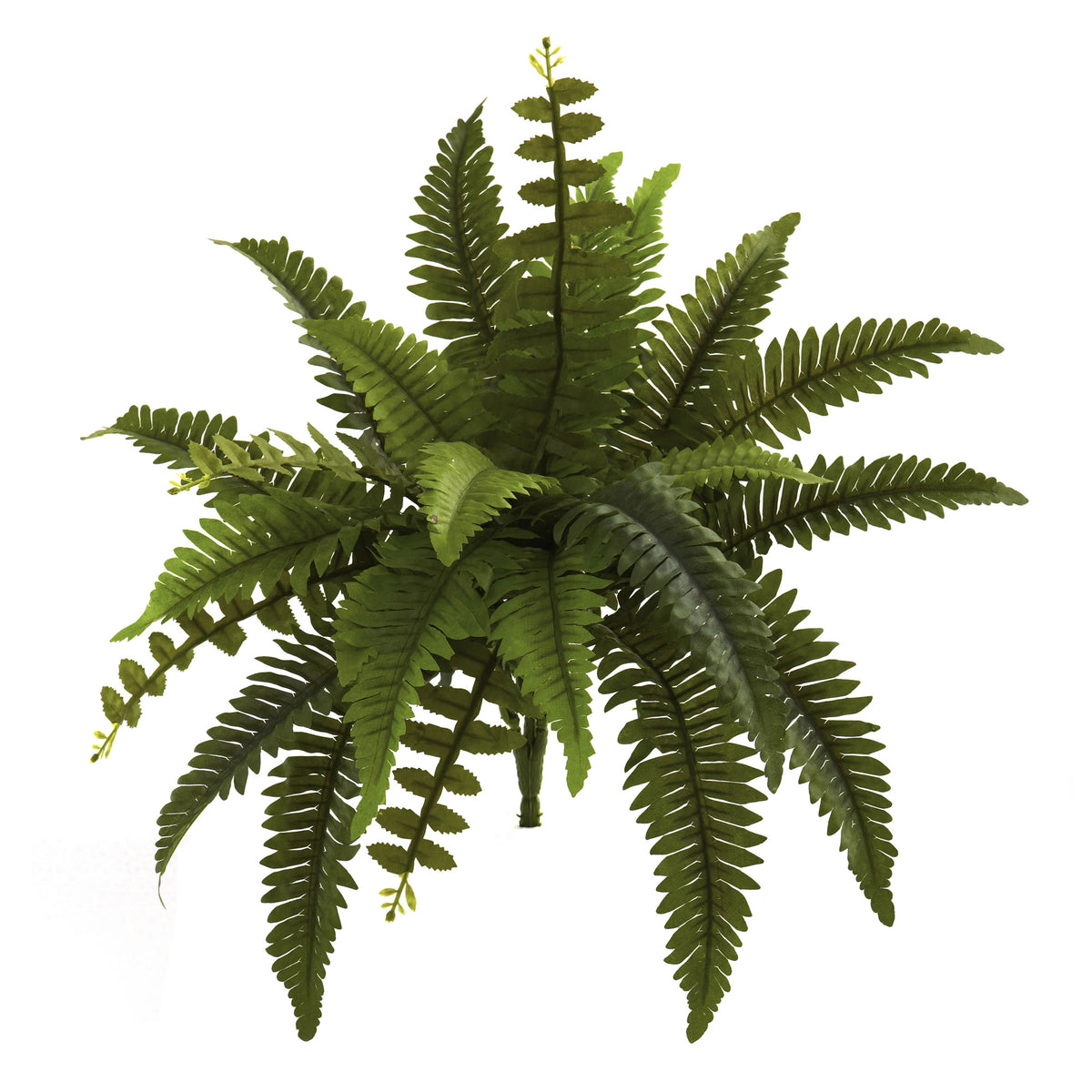 14" Boston Fern Artificial Plant (Set of 6) by Nearly Natural