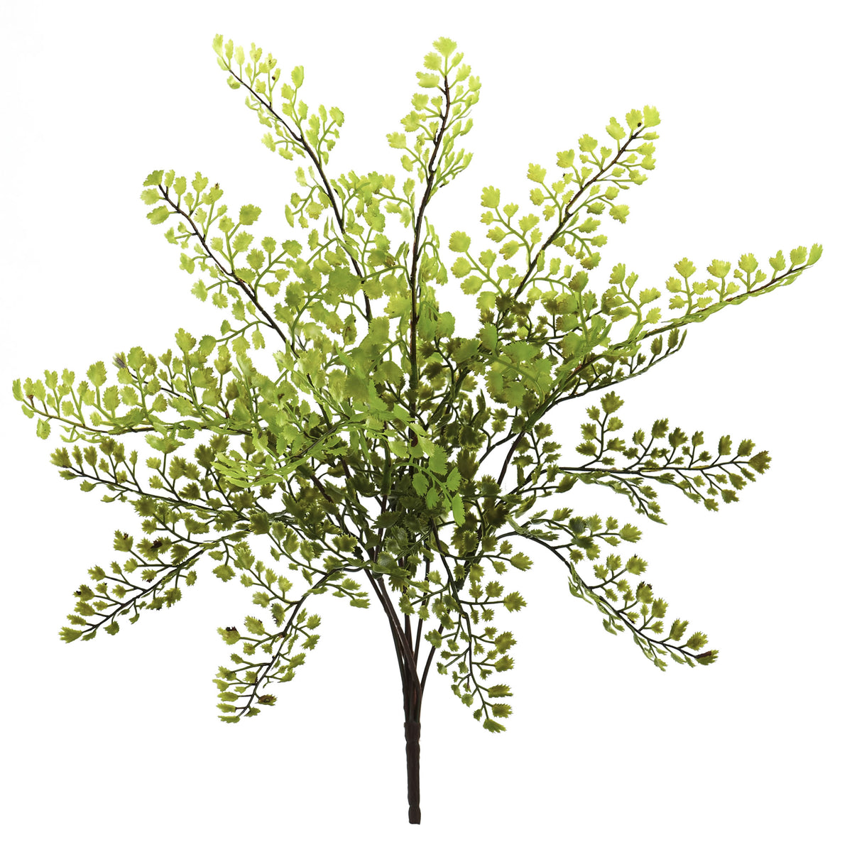 15" Maiden Hair Artificial Plant (Set of 12) by Nearly Natural