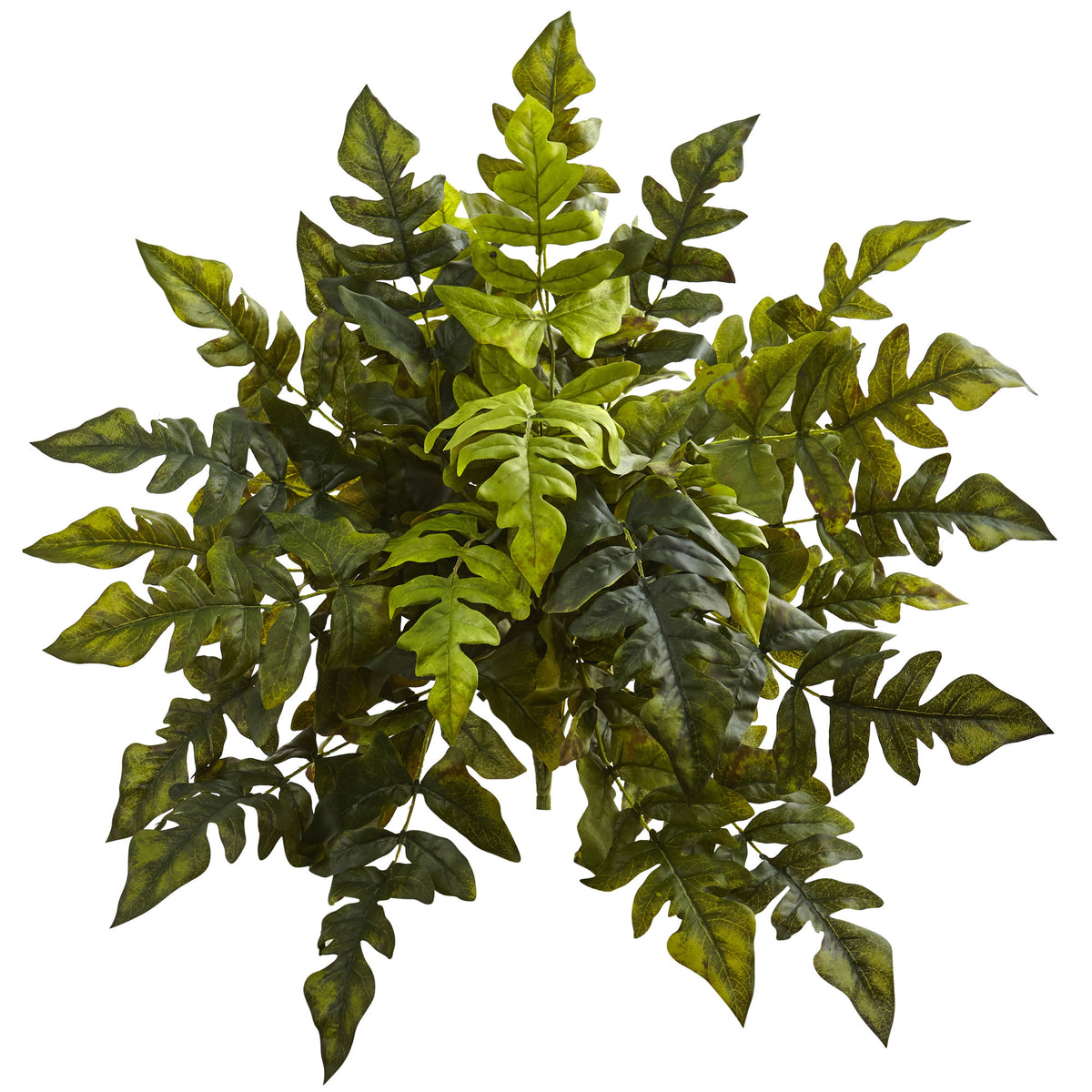24" Holly Fern Artificial Plant (Set of 2) by Nearly Natural