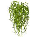 15" Senecio Succulent (Set of 3) by Nearly Natural