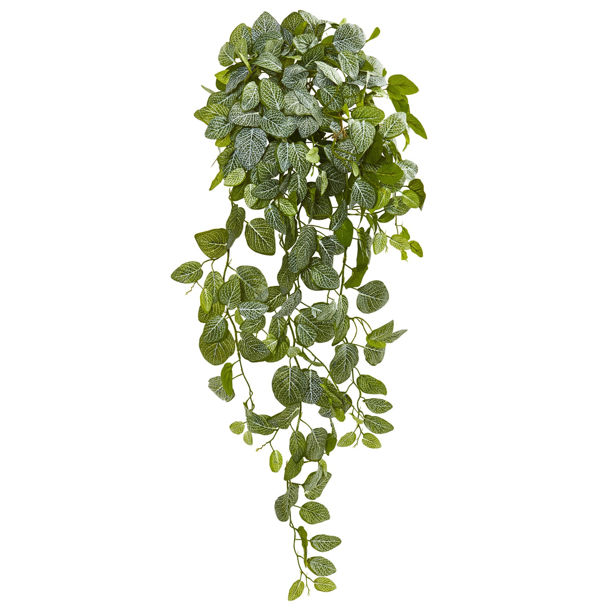36" Fittonia Artificial Hanging Bush (Set of 2)(Real Touch) by Nearly Natural