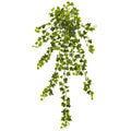 35" Ivy Artificial Hanging Plant (Set of 4) by Nearly Natural