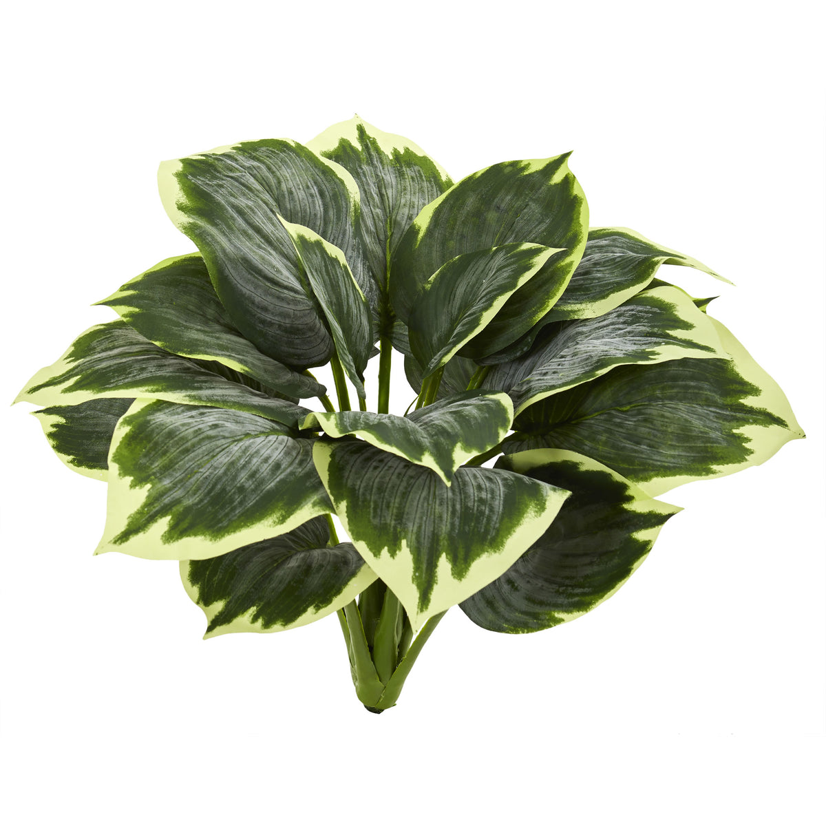 Variegated Hosta Artificial Plant (Set of 6) by Nearly Natural