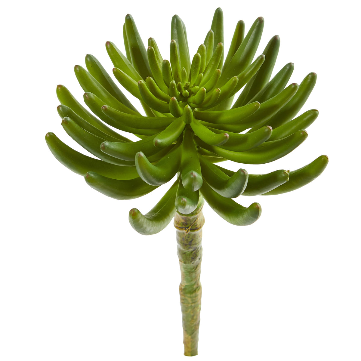 12" Succulent Artificial Plant (Set of 6) by Nearly Natural