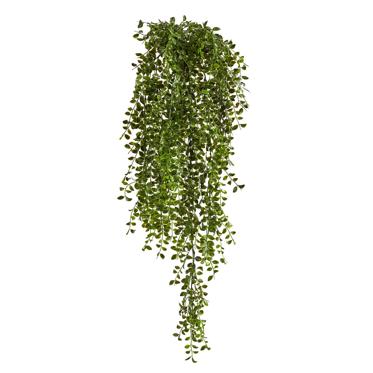 3' Gleditsia Plant UV Resistant (Indoor/Outdoor) (Set of 2) by Nearly Natural