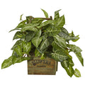 17" Nephthytis Plant in Wood Box Planter by Nearly Natural