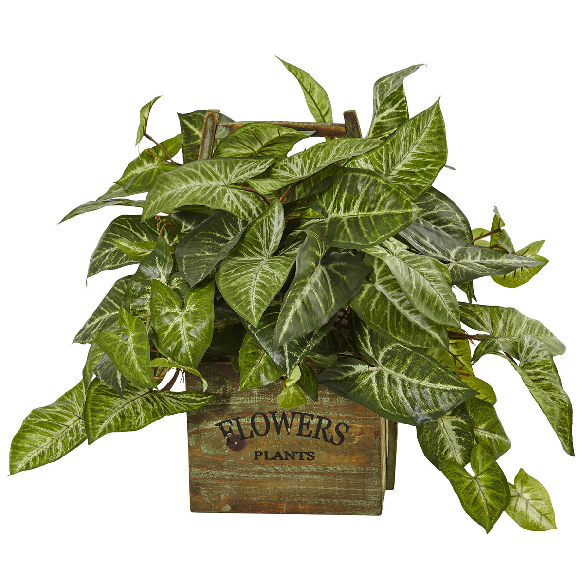 17" Nephthytis Plant in Wood Box Planter by Nearly Natural