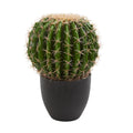 14" Cactus Artificial Plant by Nearly Natural