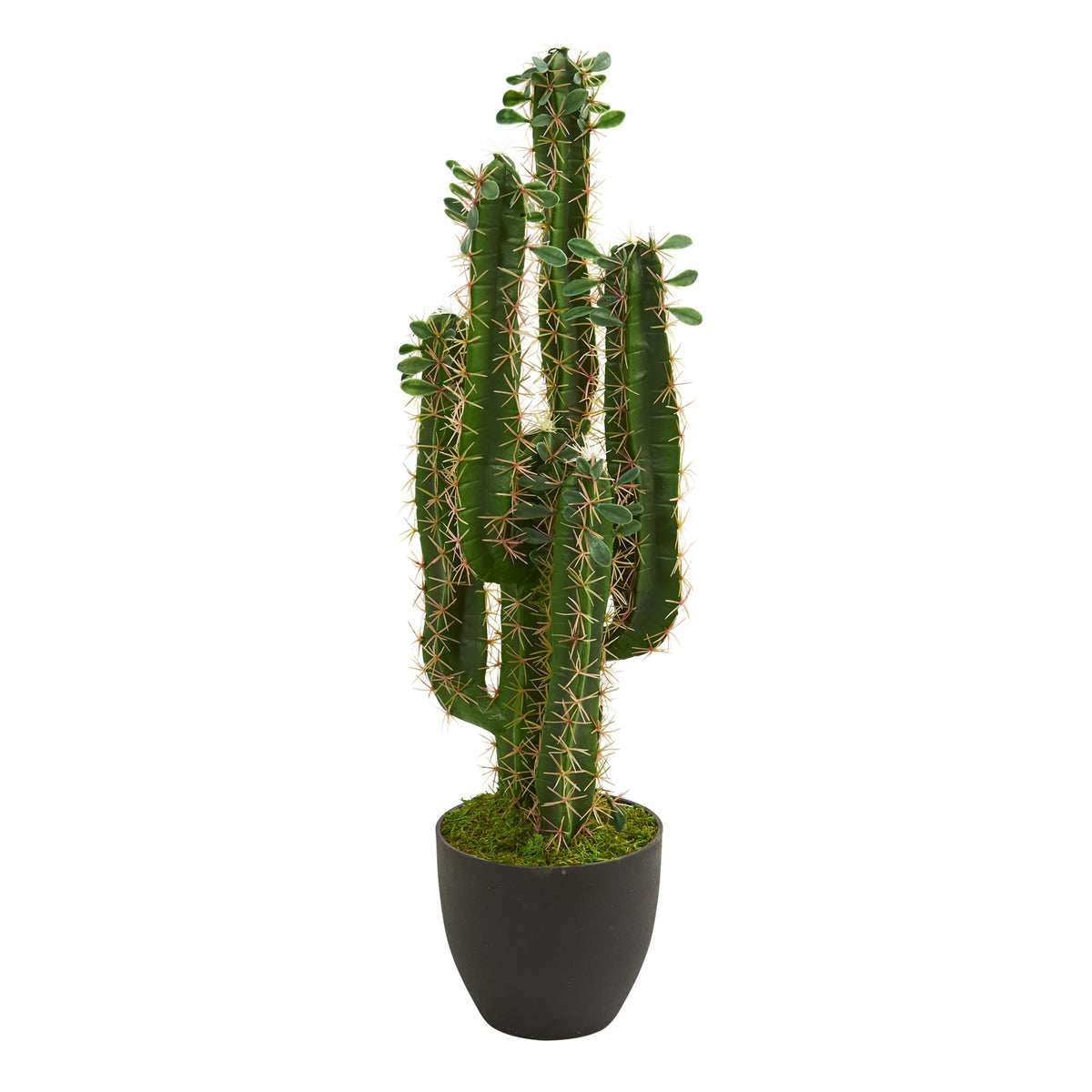 2.5' Cactus Artificial Plant by Nearly Natural